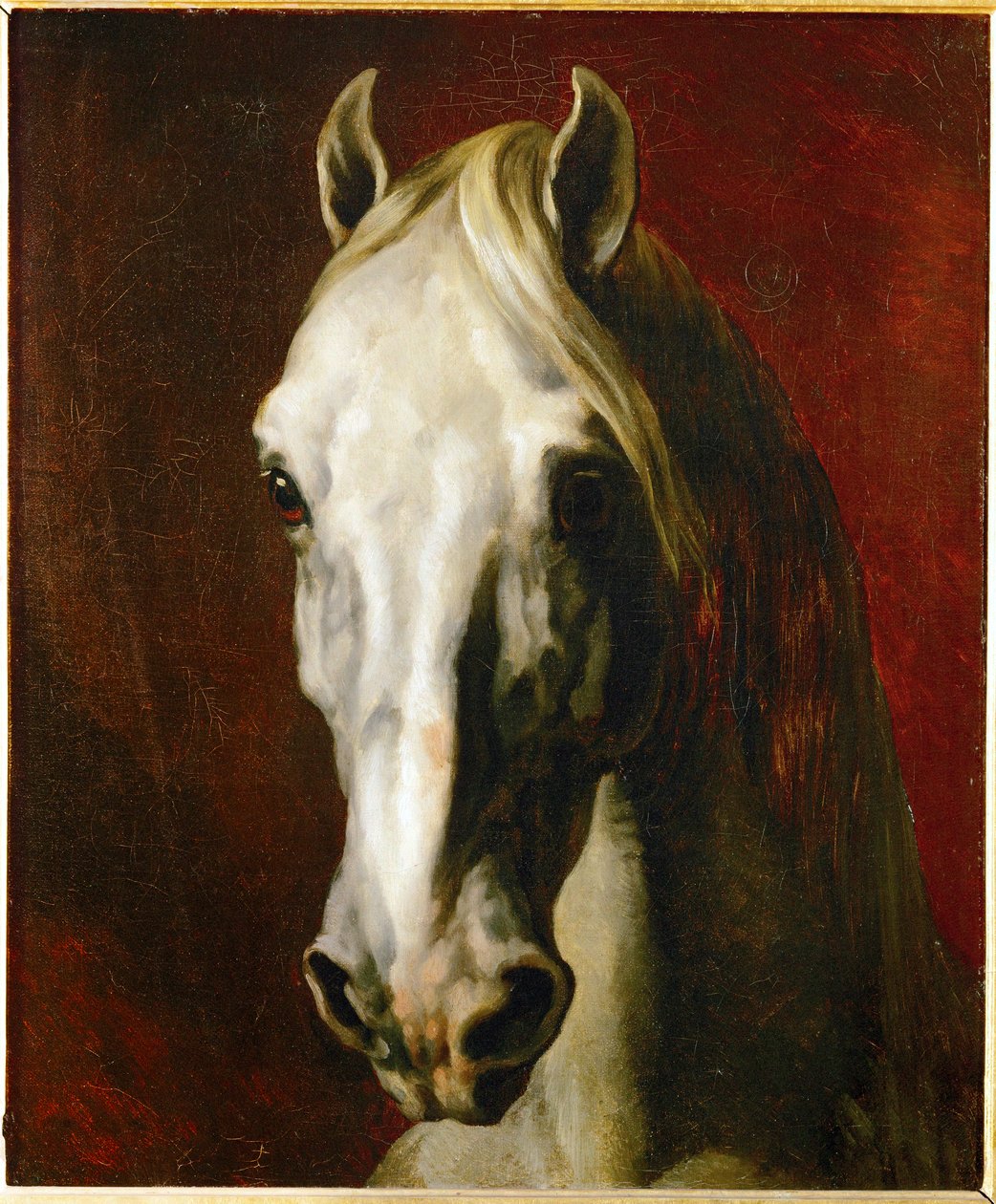 白马头像 作者 西奥多·杰里科（Theodore Gericault）