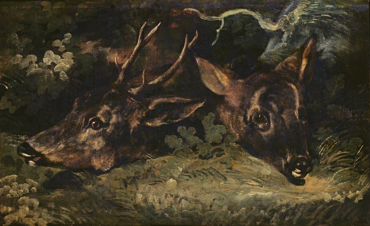 獐鹿的头，1815年 作者 西奥多·杰里科（Theodore Gericault）