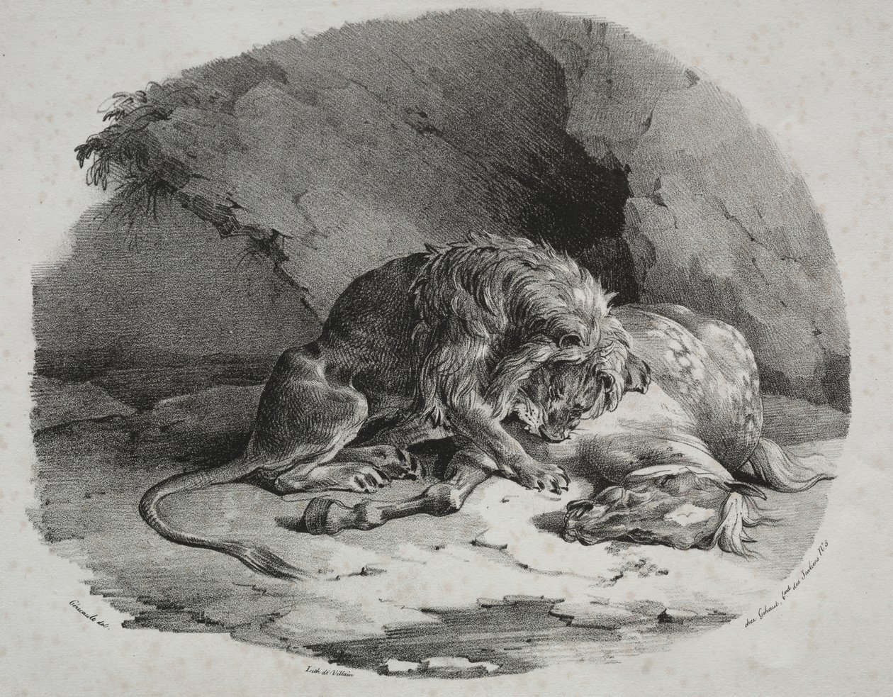 被狮子吃掉的马 作者 西奥多·杰里科（Theodore Gericault）