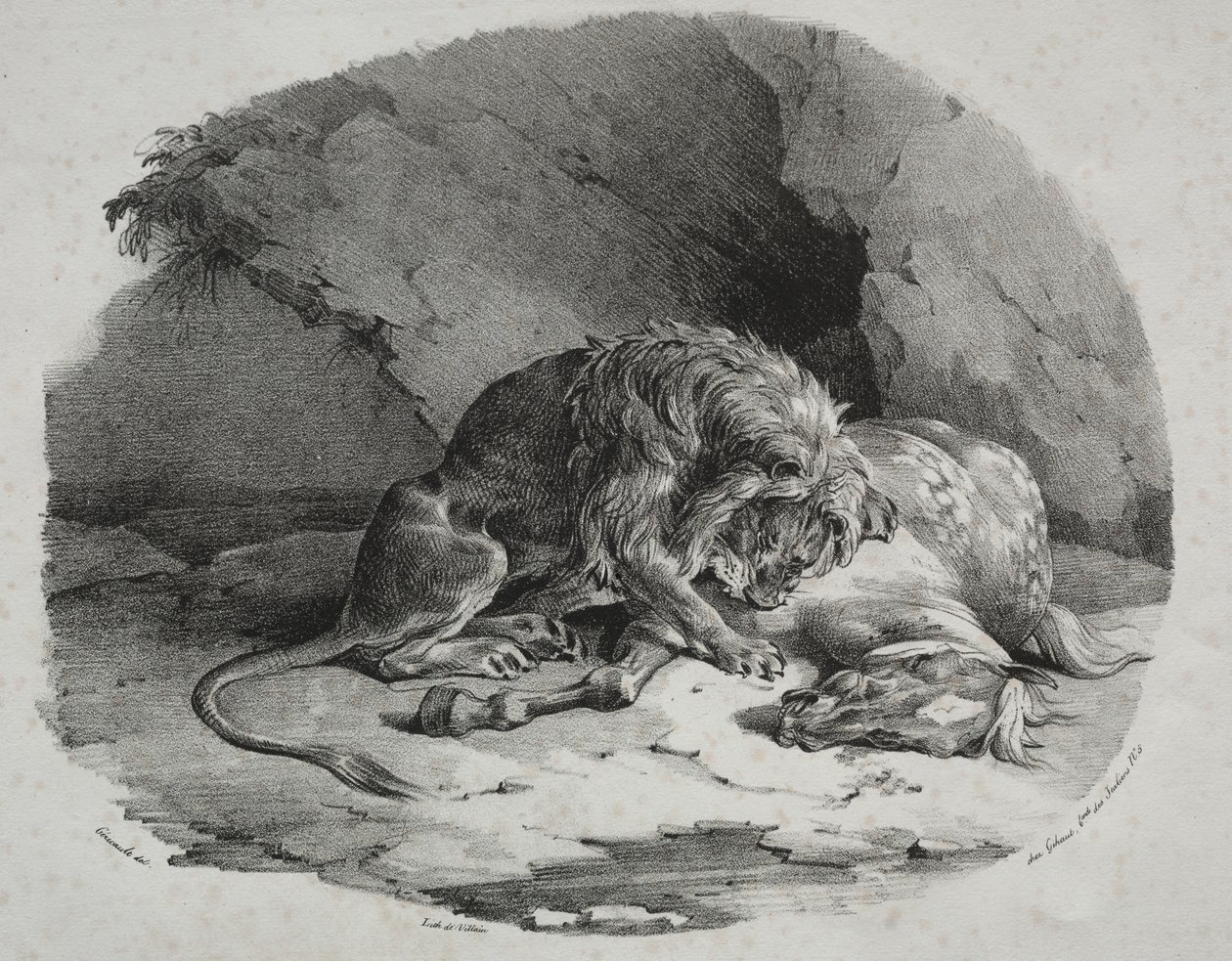 被狮子吃掉的马 作者 西奥多·杰里科（Theodore Gericault）
