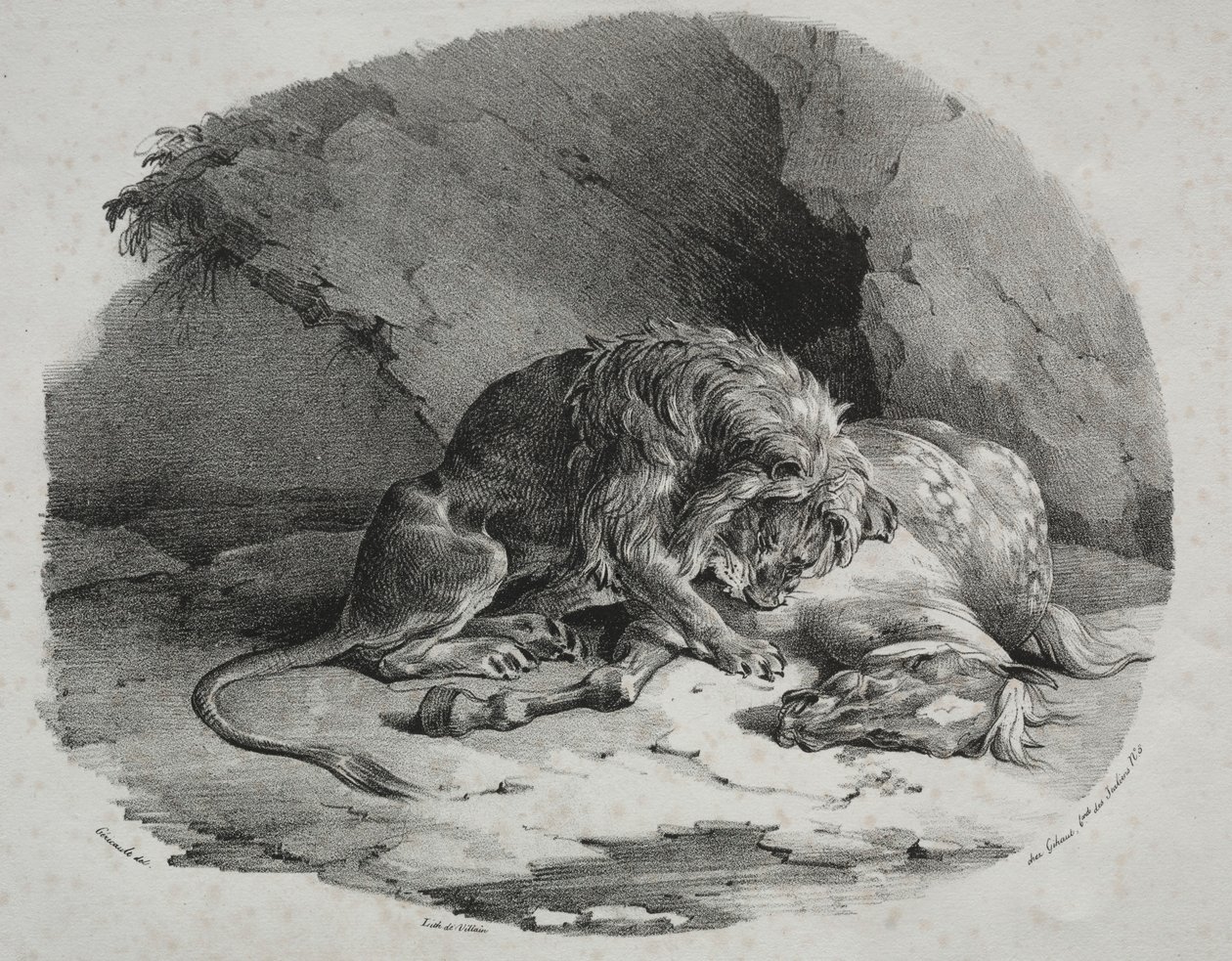 马被狮子吞噬，1823年。 作者 西奥多·杰里科（Theodore Gericault）
