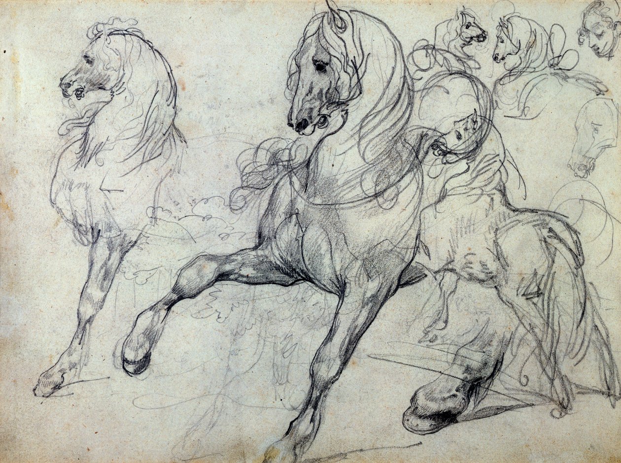 马匹 作者 西奥多·杰里科（Theodore Gericault）