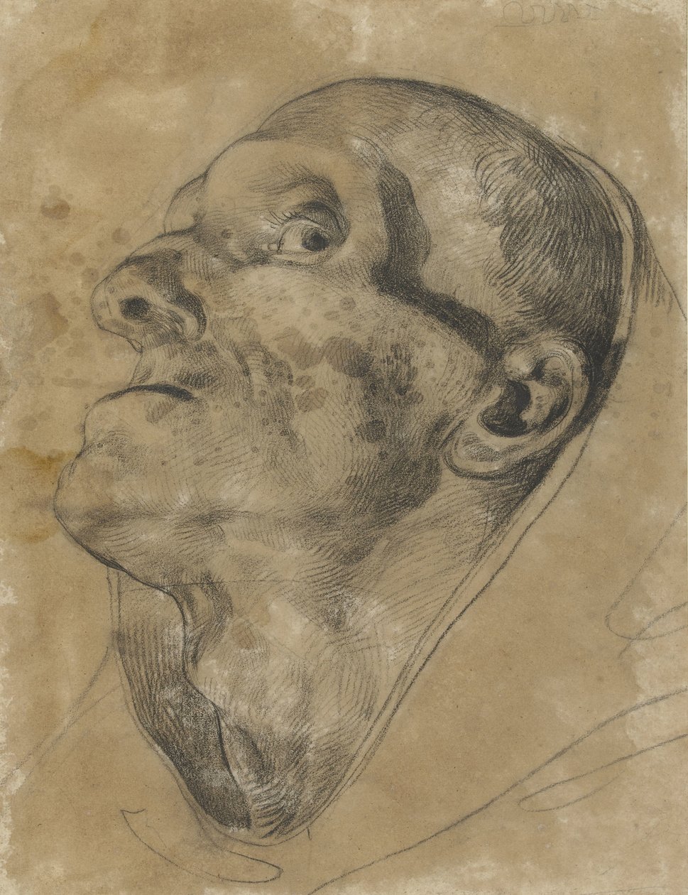 一个男人的头向上看，目光向下 作者 西奥多·杰里科（Theodore Gericault）
