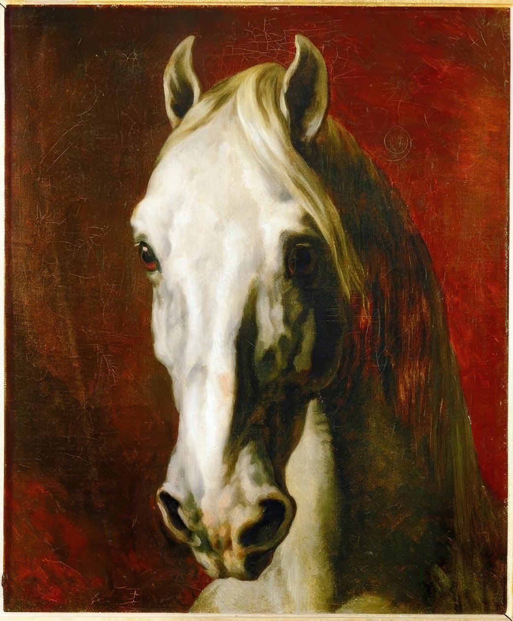 一匹白马的头 作者 西奥多·杰里科（Theodore Gericault）
