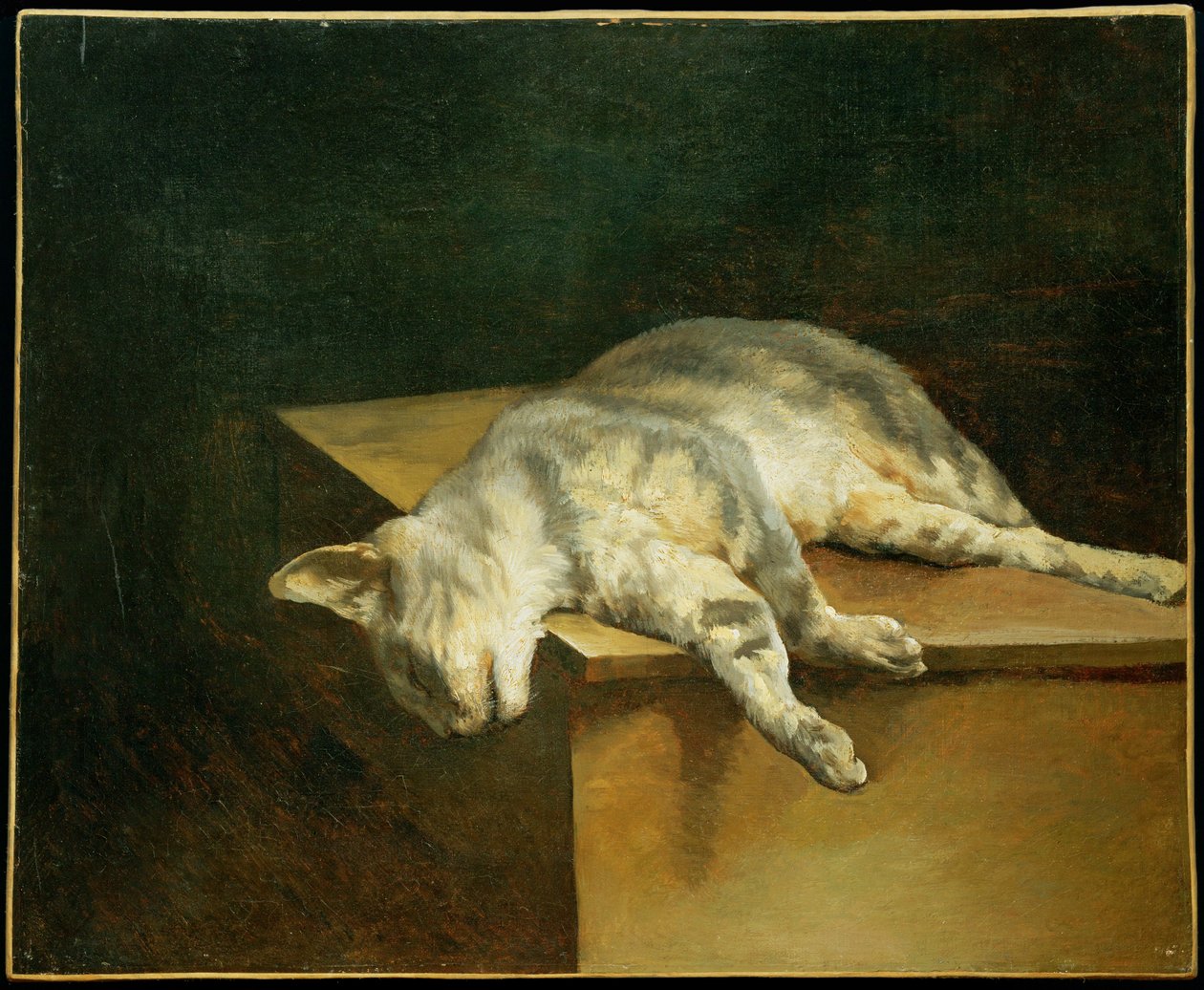 Le chat mort - 死猫... 作者 西奥多·杰里科（Theodore Gericault）