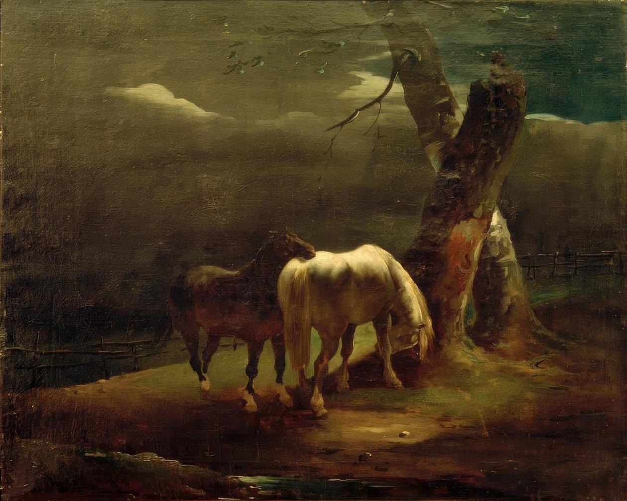 牧场中的马 作者 西奥多·杰里科（Theodore Gericault）