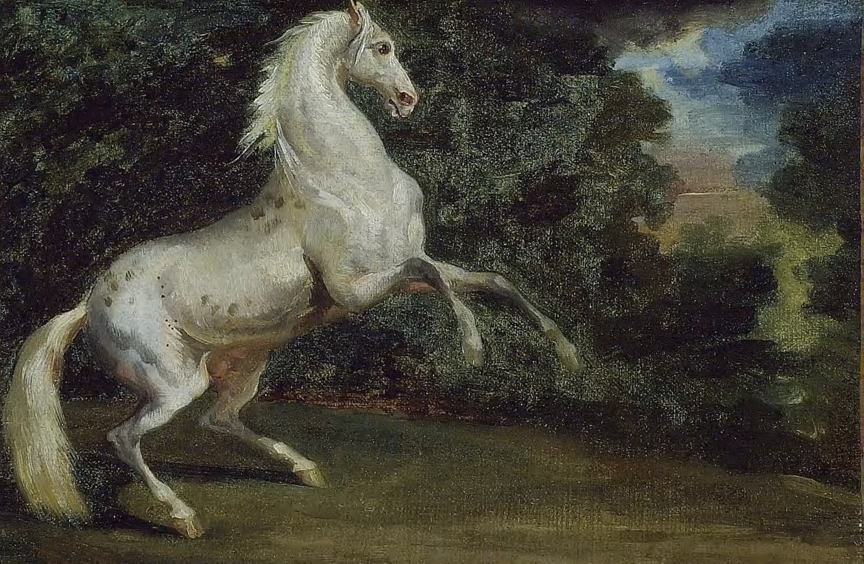 跃马 作者 西奥多·杰里科（Theodore Gericault）