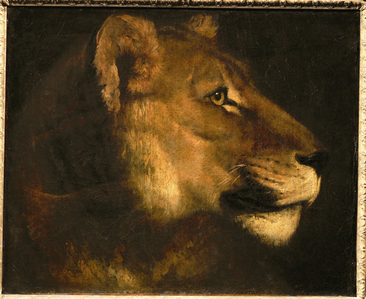 Tete de lionne.雌狮头像... 作者 西奥多·杰里科（Theodore Gericault）