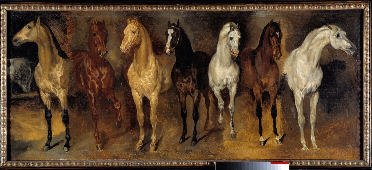 胸部 七匹马从正面看。Theodore Gericault (1791-1824)的画作 19世纪 太阳。0,39x0,94米 私人收藏 - 七匹马的胸部（正面看）。Theodore Gericault (1791-1824)的画作。 作者 西奥多·杰里科（Theodore Gericault）