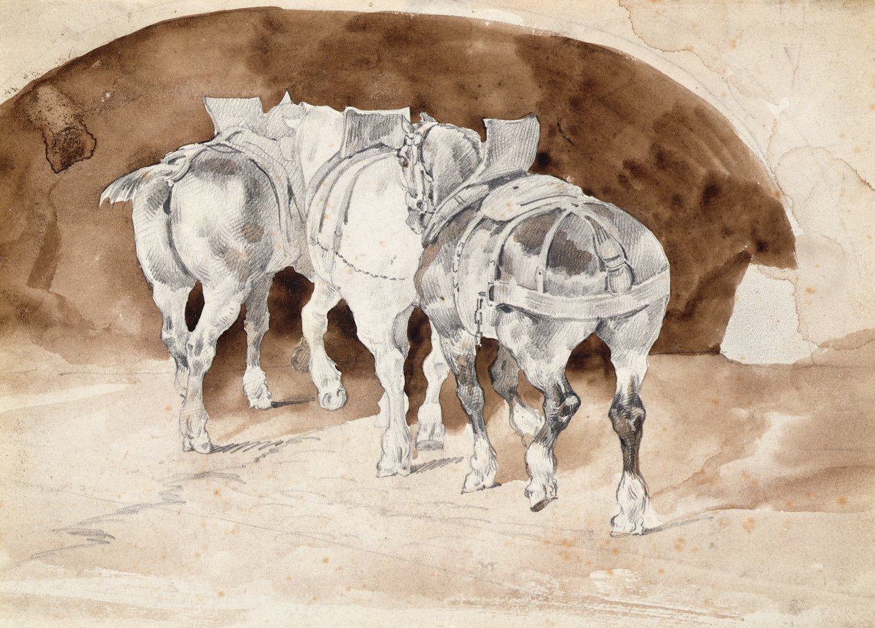 三匹重型马的马具（铅笔和棕褐色水洗）。 作者 西奥多·杰里科（Theodore Gericault）