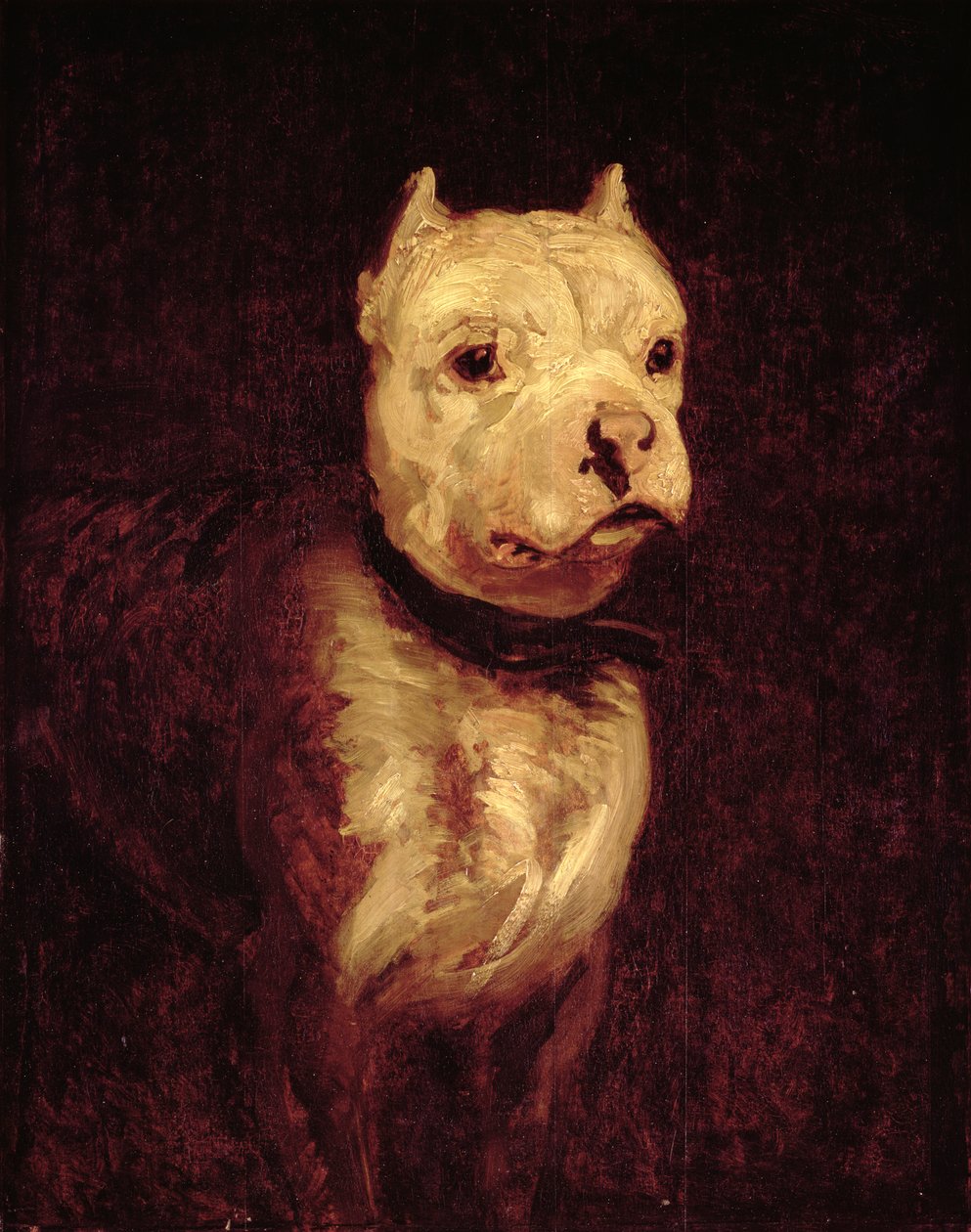 图片不明 作者 西奥多·杰里科（Theodore Gericault）