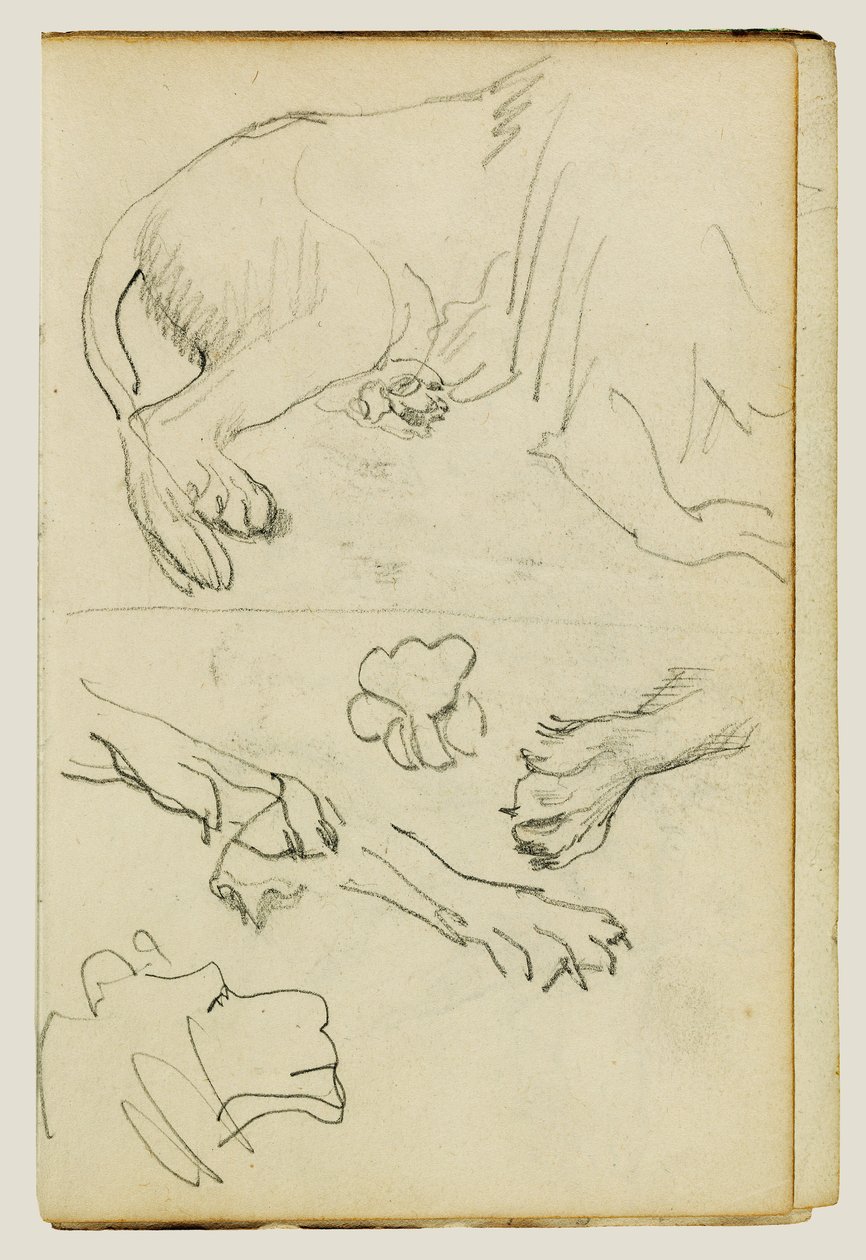 对狮子腿、爪和头的各种研究 作者 西奥多·杰里科（Theodore Gericault）
