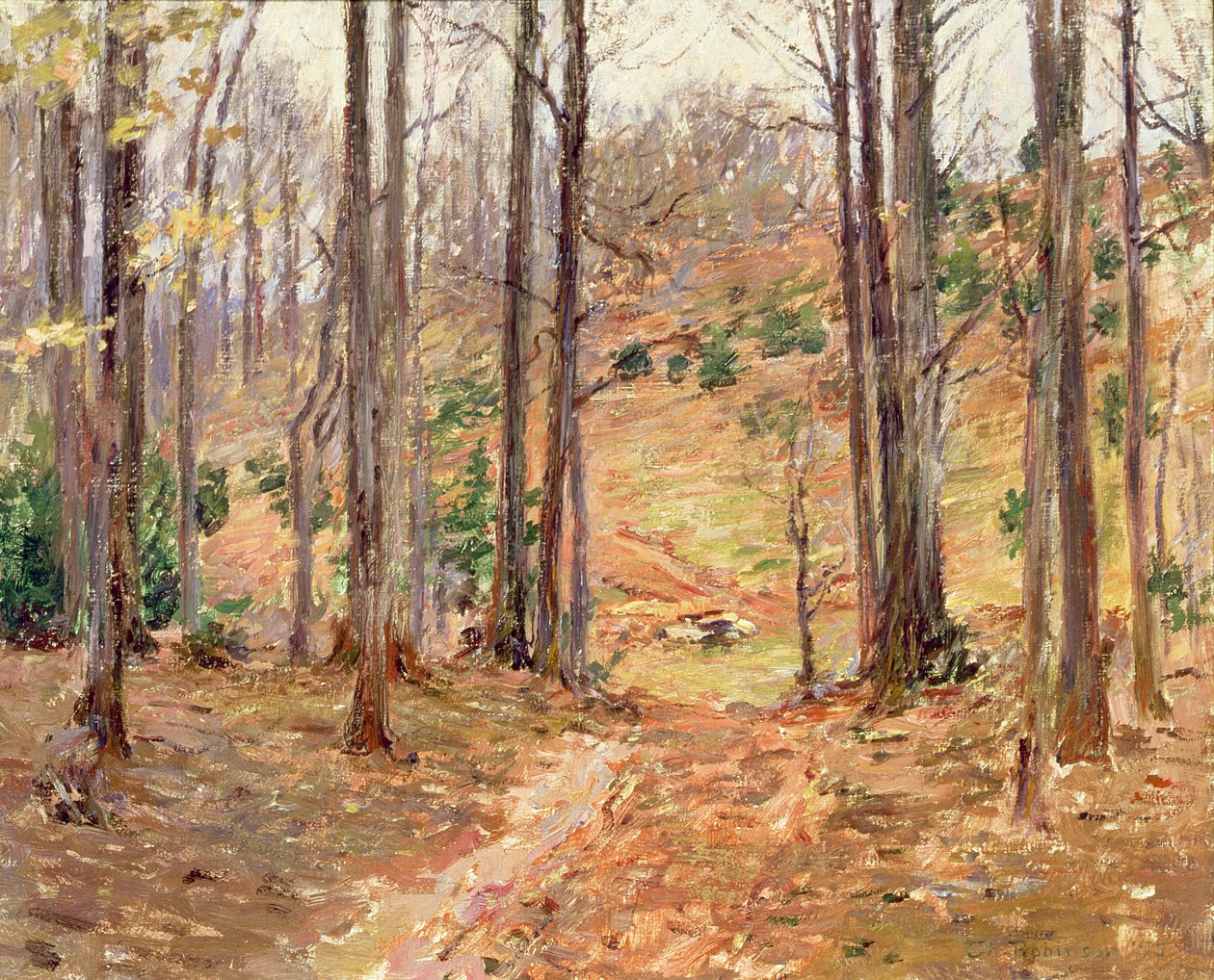 弗吉尼亚·伍兹（Virginia Woods），1893年 作者 西奥多·罗宾逊