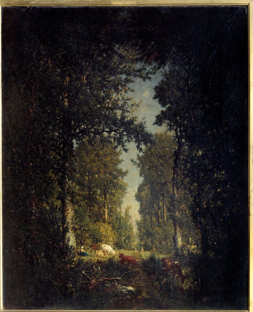 一条大道，亚当岛森林。 西奥多·卢梭 (1812-1867) 的绘画 作者 皮埃尔·艾蒂安·西奥多·卢梭