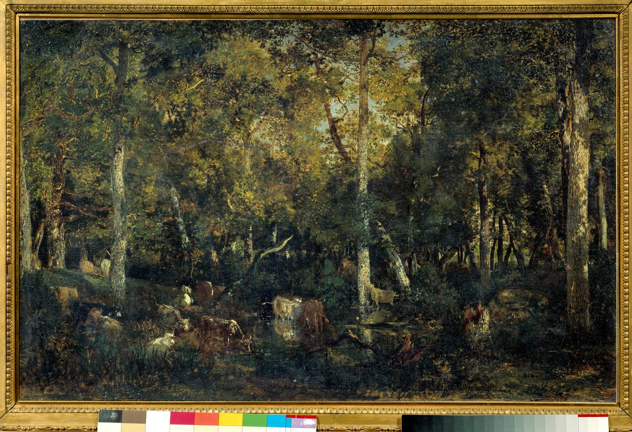 Interieur de bois dit le Vieux Dormoir du Bas-Breau (Fontainebleau forest) 画家：Theodore Rousseau (1812-1887) 1836 Sun. 0,65x1,03 m 巴黎，奥赛博物馆 作者 皮埃尔·艾蒂安·西奥多·卢梭