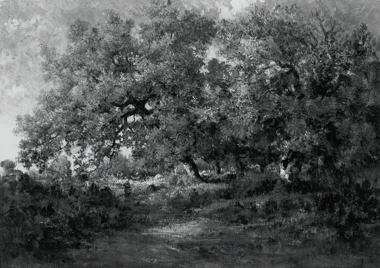景观，约1860年。 作者 西奥多·卢梭