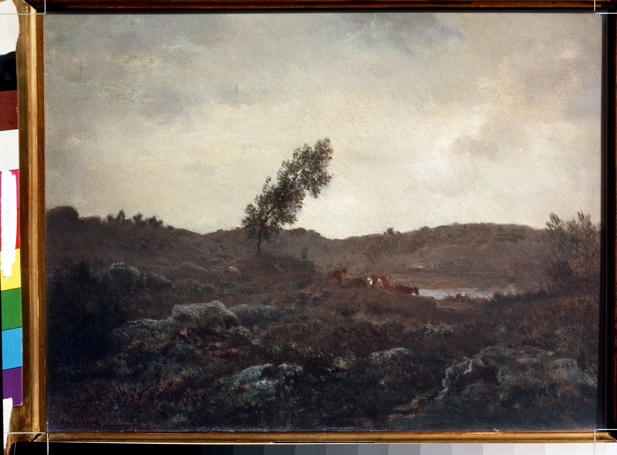 巴比松风景。西奥多-卢梭（1812-1867 年）的作品。木板油画，24 x 32 厘米，1840 年末。法国巴比松画派。莫斯科普希金美术博物馆。 作者 西奥多·卢梭