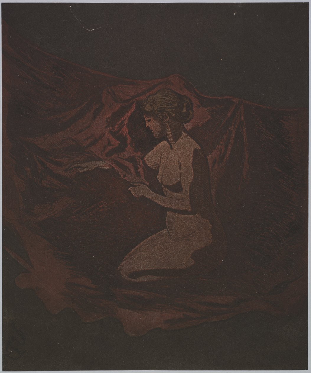 余烬发光，1890-1897年。 作者 西奥多·罗素
