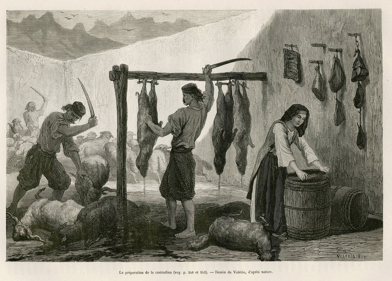 The preparation of the castradina, speciality of meat of sheep and goat salted and bucanee, towards the end of October, in Dalmatia (Istria and Herzegovine (Croatia)), drawing by Valerio, to illustrate the journey to Montenegro, in 1874, by Charles Yriarte 作者 西奥多·瓦莱里奥
