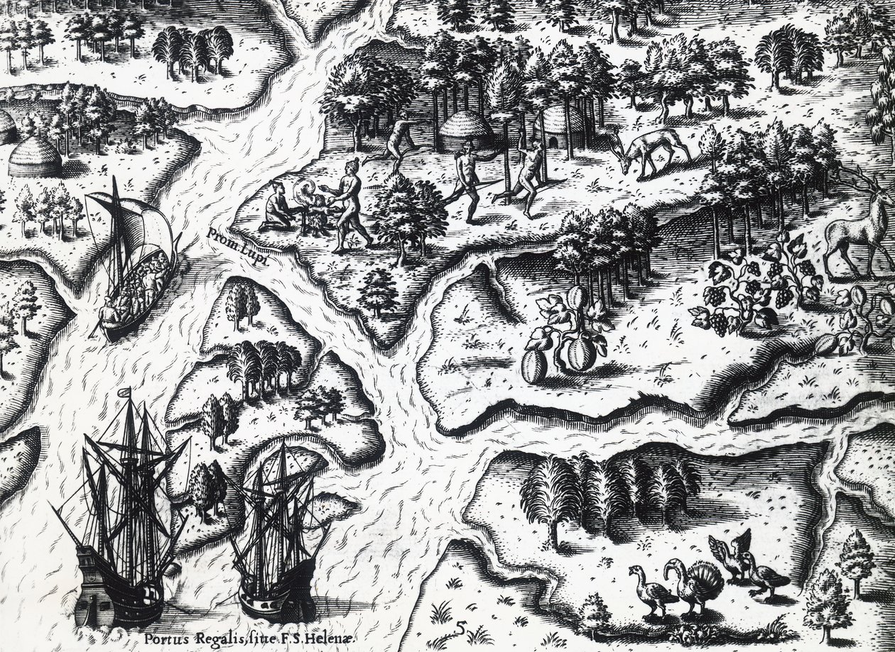 1564年法国人抵达皇家港，由Theodor de Bry（1528-1598）根据Jacques le Moyne de Morgues（约1533-1588年之前）的画作绘制，雕刻。 作者 西奥多·德布瑞