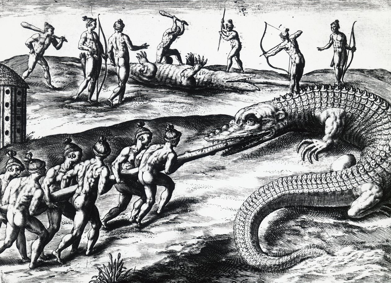 佛罗里达州的猎鳄活动，出自Jacques le Moyne de Morgues（约1533年-1588年之前）的画作，由Theodor de Bry（1528-1598）绘制。 雕刻品 作者 西奥多·德布瑞