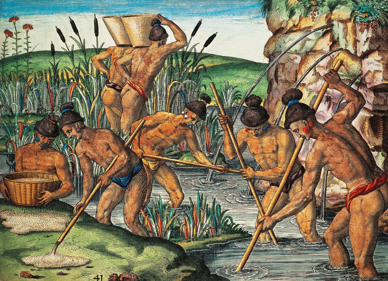 佛罗里达州的淘金者，Theodor de Bry（1528-1598）根据Jacques le Moyne de Morgues（约1533-1588年前）的画作进行的彩色雕刻，出自Brevis Narratio。 作者 西奥多·德布瑞
