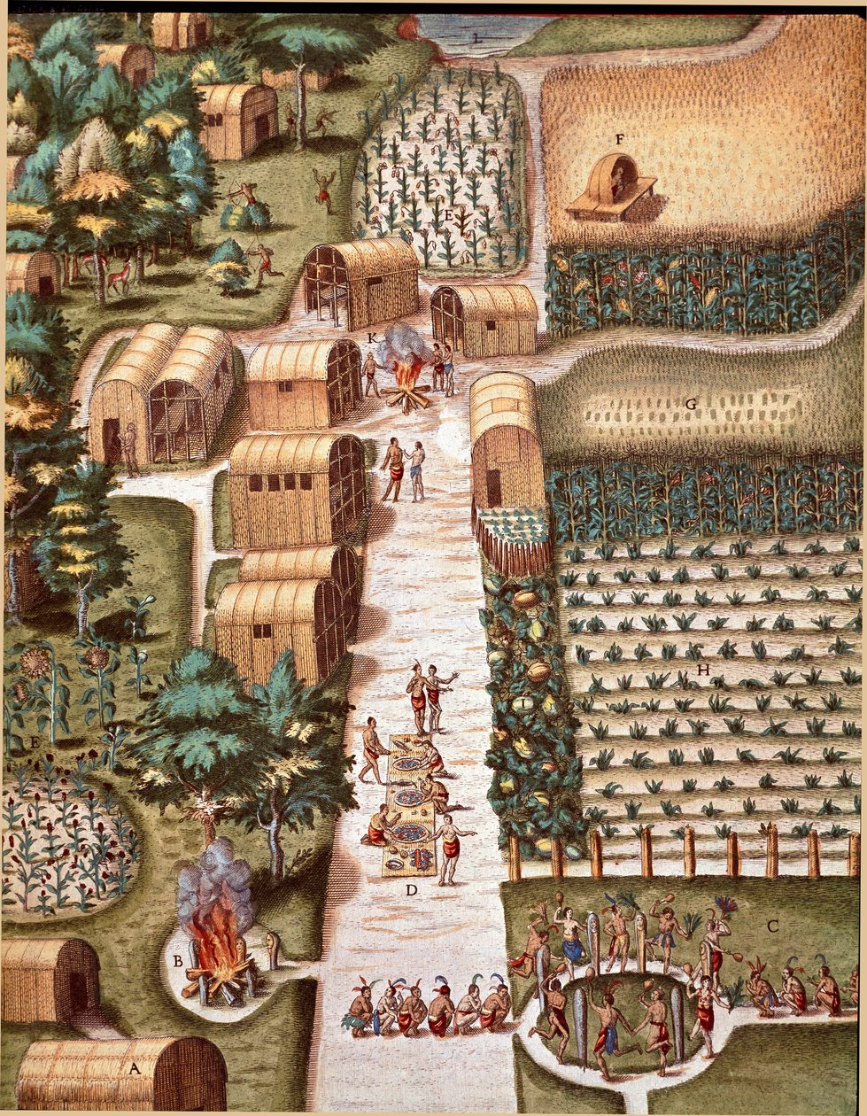 美国历史："弗吉尼亚州塞科塔市的花园" 雕刻自西奥多-德-布莱（1528-1598）的《Admirante Narratio Americae》。 作者 西奥多·德布瑞