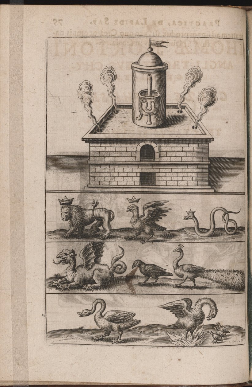 插图Tripvs avrevs，也就是三个最选择..部分化学家，1618 作者 西奥多·德布瑞