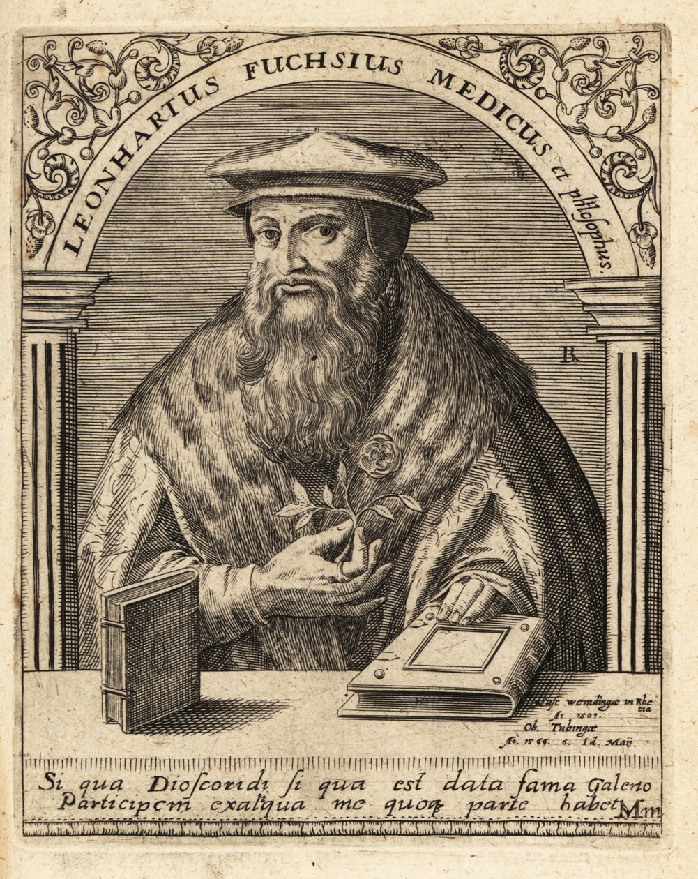 Leonhart Fuchs, 德国医生和植物学家 1501-1566 . 作者 西奥多·德布瑞