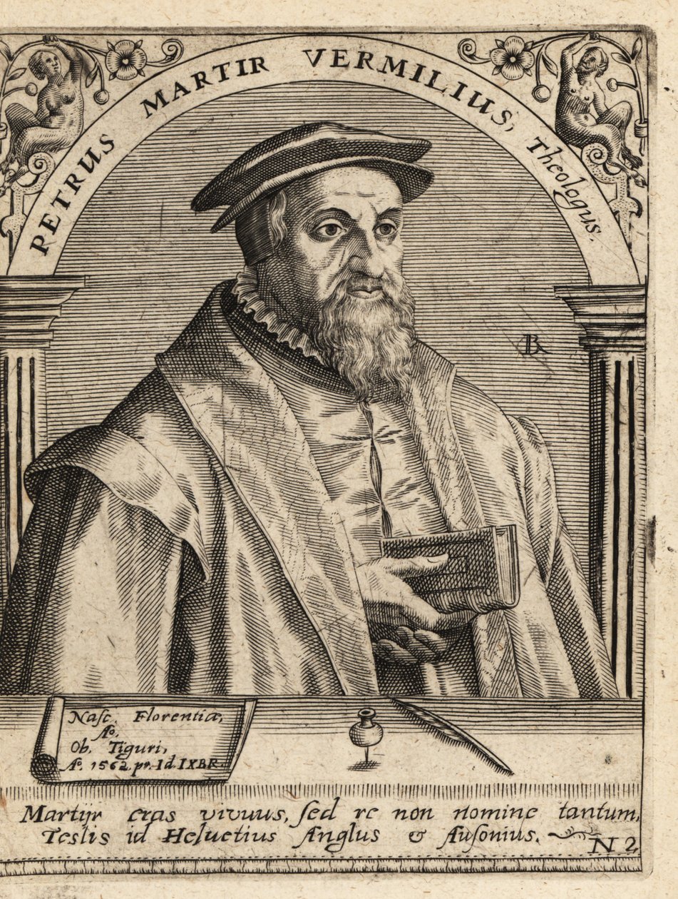 Peter Martyr Vermigli 作者 西奥多·德布瑞