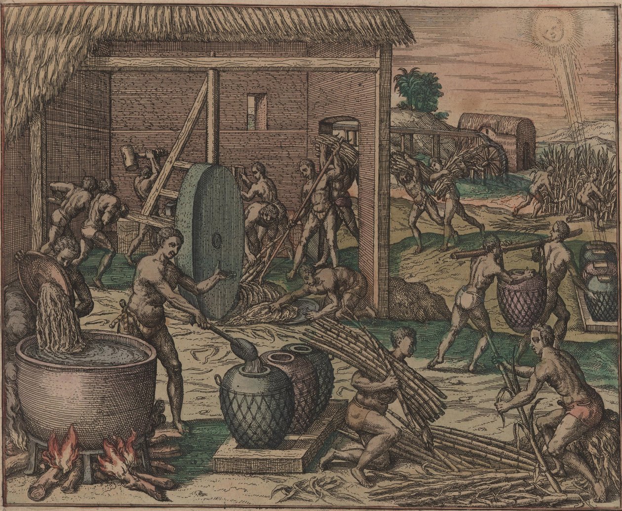 奴隶加工甘蔗制成糖，1595年。 作者 西奥多·德布瑞