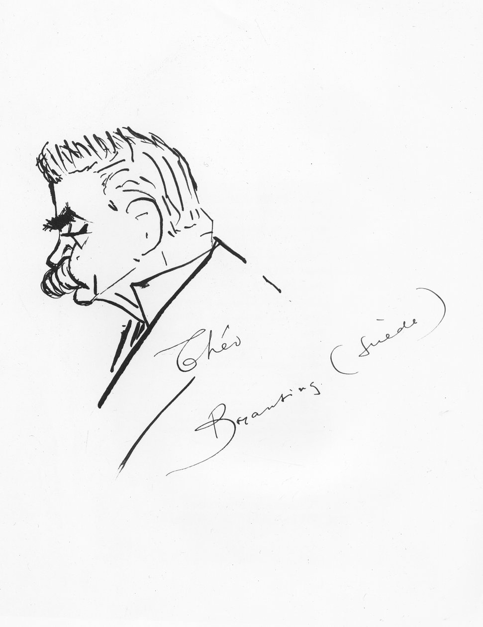 Karl Hjalmar Branting 作者 西奥多罗夫