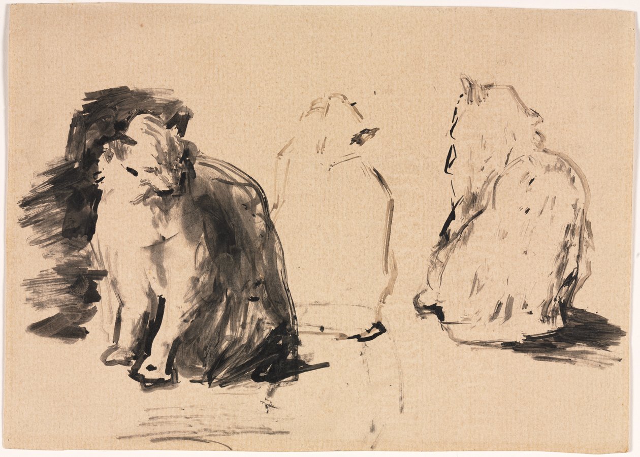 猫（直面） 作者 Theodule Ribot