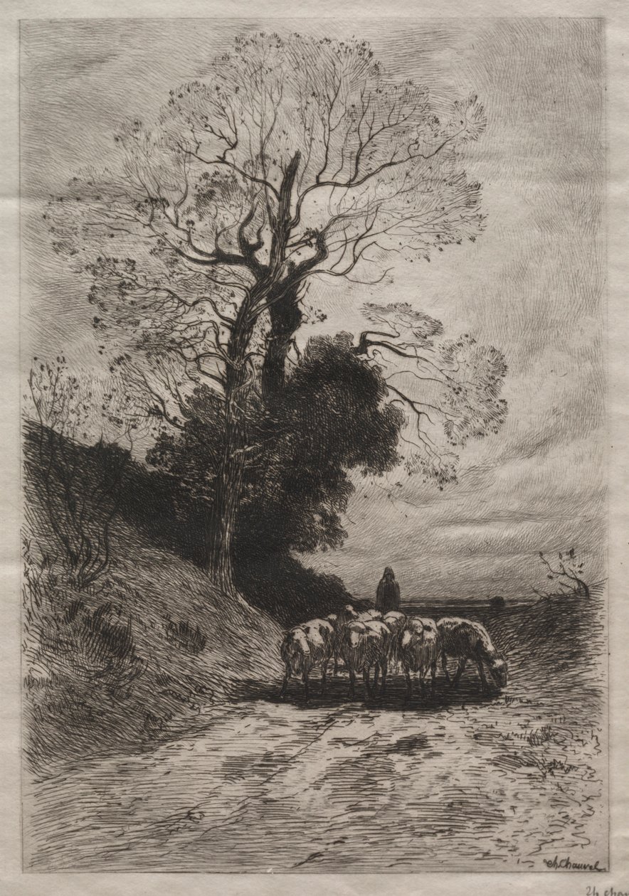 羊群的回归，约1870年。 作者 西奥菲勒·纳西斯·肖维尔