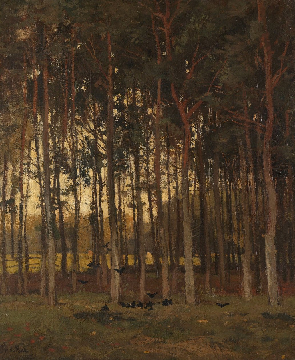  作者 西奥菲·德·博克（Theophile de Bock）