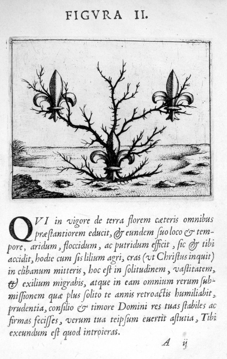 幻象从图2级预测Eximii医生帕拉塞尔苏斯，1536。 作者 霍恩海姆Paracelsus的Theophrastus bombastus