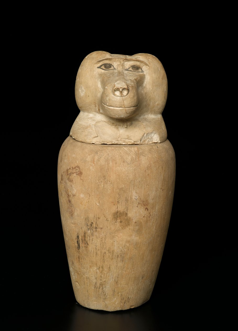Canopic jar（石灰石） 作者 第三中期埃及