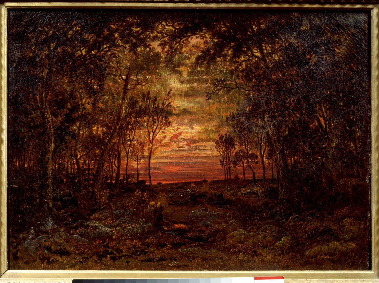 Sunset in the forest Painting by Theodore Rousseau (1812-1867) 19th century Barbizon School. Dim. 0,46x0,62m. Oil on canvas. . 作者 皮埃尔·艾蒂安·西奥多·卢梭