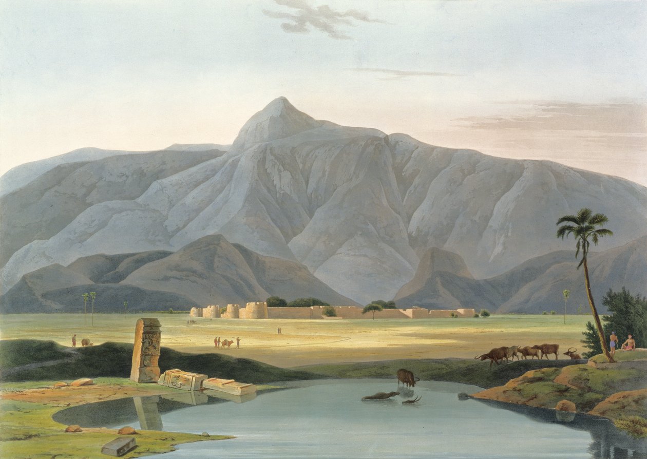 Chevalpettore，来自&39;Oriental Scenery&39;第6部分的V盘，酒吧。 1804（aquatint） 作者 托马斯和威廉丹尼尔