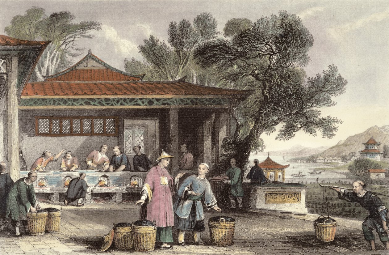 乔治·纽纳姆·赖特（George Newenham Wright，1817-1877）1843年“中国一系列观点”中的茶文化与制作 作者 托马斯·阿隆