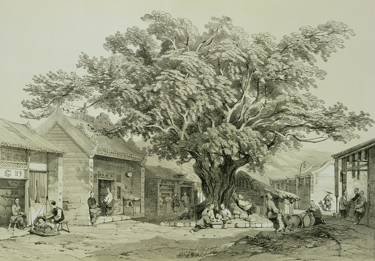 寺庙，澳门，1850年（笔墨水，铅笔，纸上白色加高） 作者 托马斯·阿隆