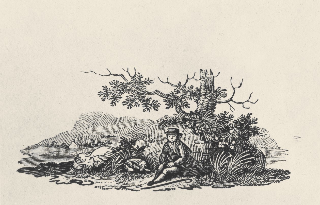 一棵树下的绅士，来自陆地鸟类，于1797年出版（木版画） 作者 托马斯·贝威克