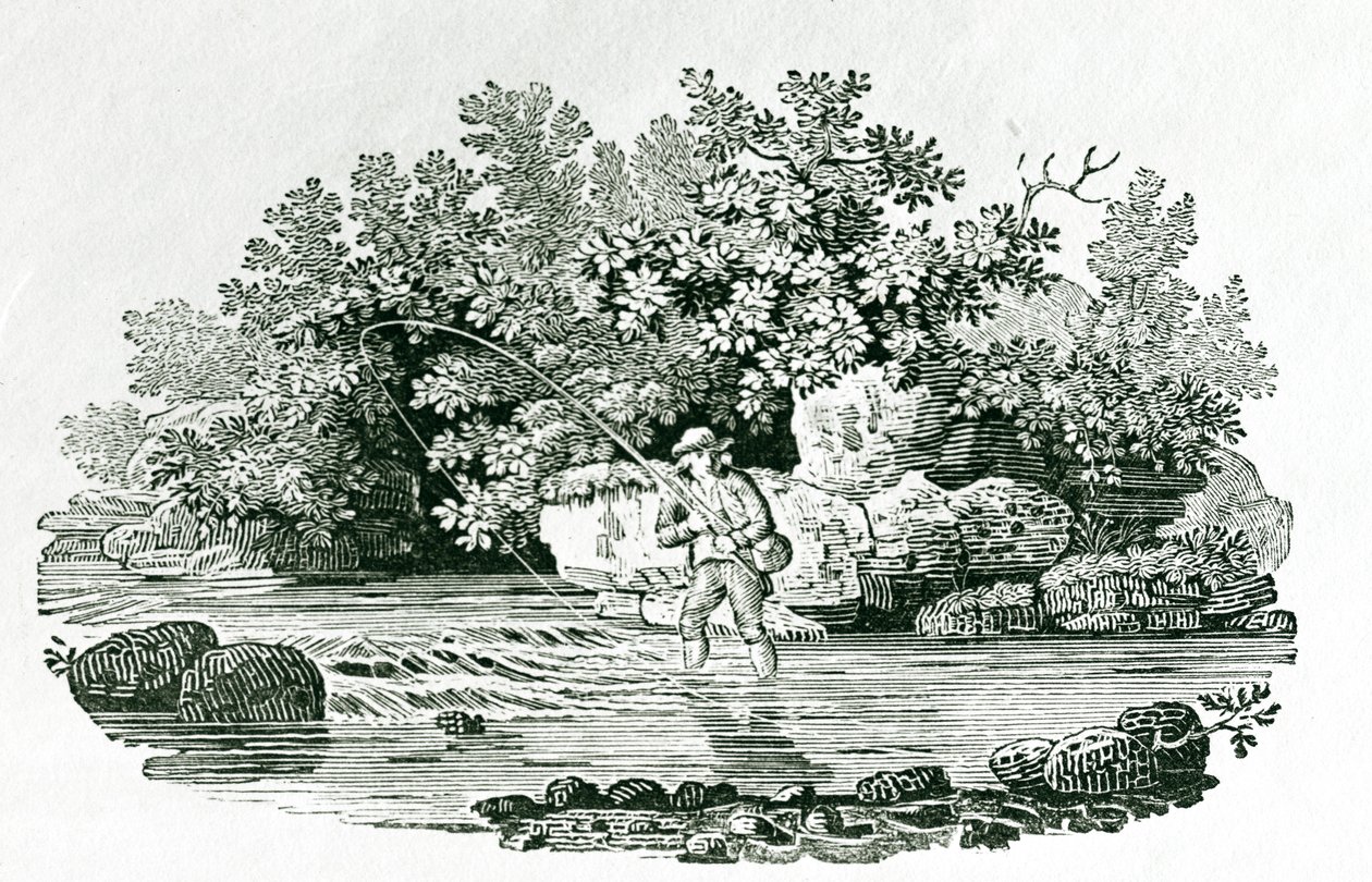 一个河池中的钓鱼者，来自&39;英国鸟&39;，1804（木雕） 作者 托马斯·贝威克