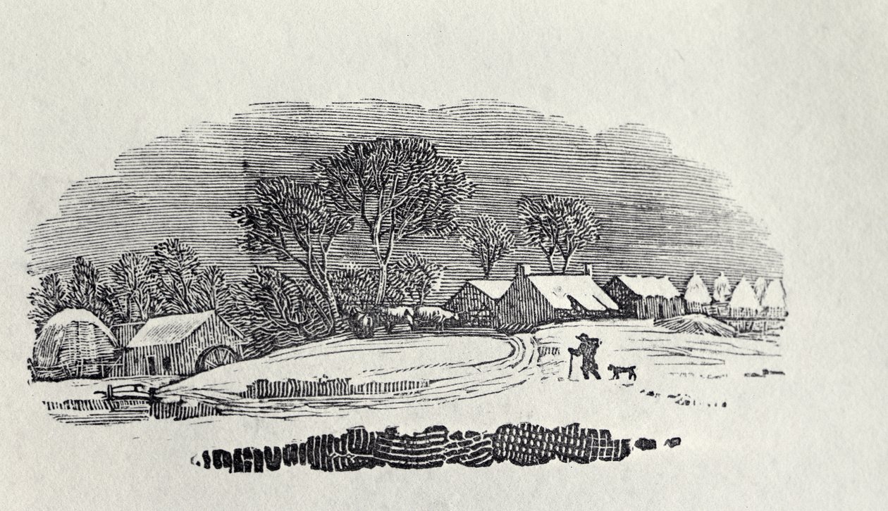 从“四足动物”，第四版，1800年（木版画）接近冬季的一个村庄 作者 托马斯·贝威克