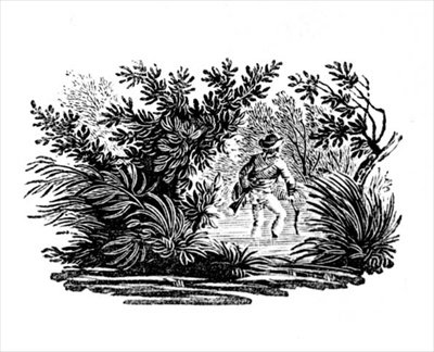 来自陆地鸟类的河流，c。 1797年（木版画） 作者 托马斯·贝威克