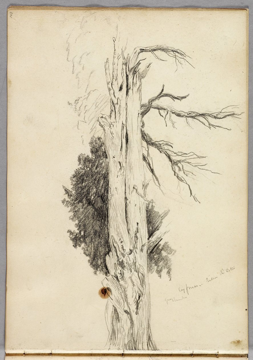 Cypress，Villa dEste，1832 作者 托马斯·科尔
