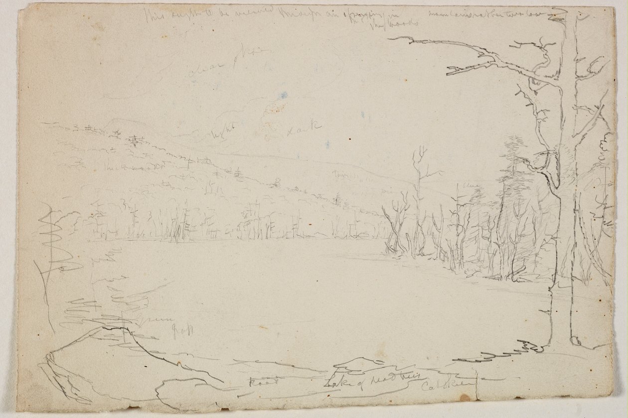 死树湖，卡茨基尔，1825年（石墨铅笔在米白纸上） 作者 托马斯·科尔