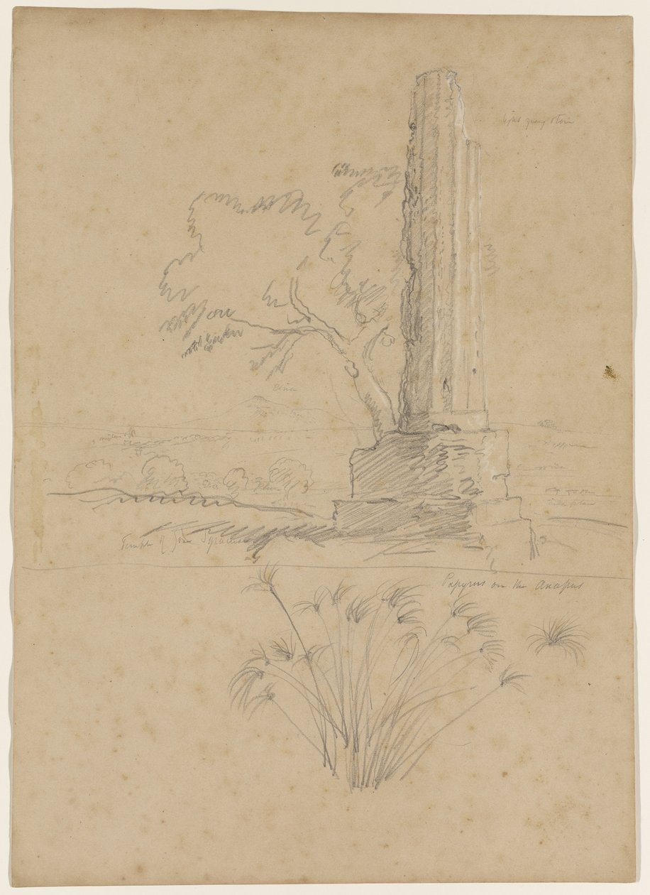 宙斯和纸莎草寺在阿纳波河上，锡拉丘兹附近，西西里岛，1842年（铅笔用白色粉笔在纸上加高） 作者 托马斯·科尔