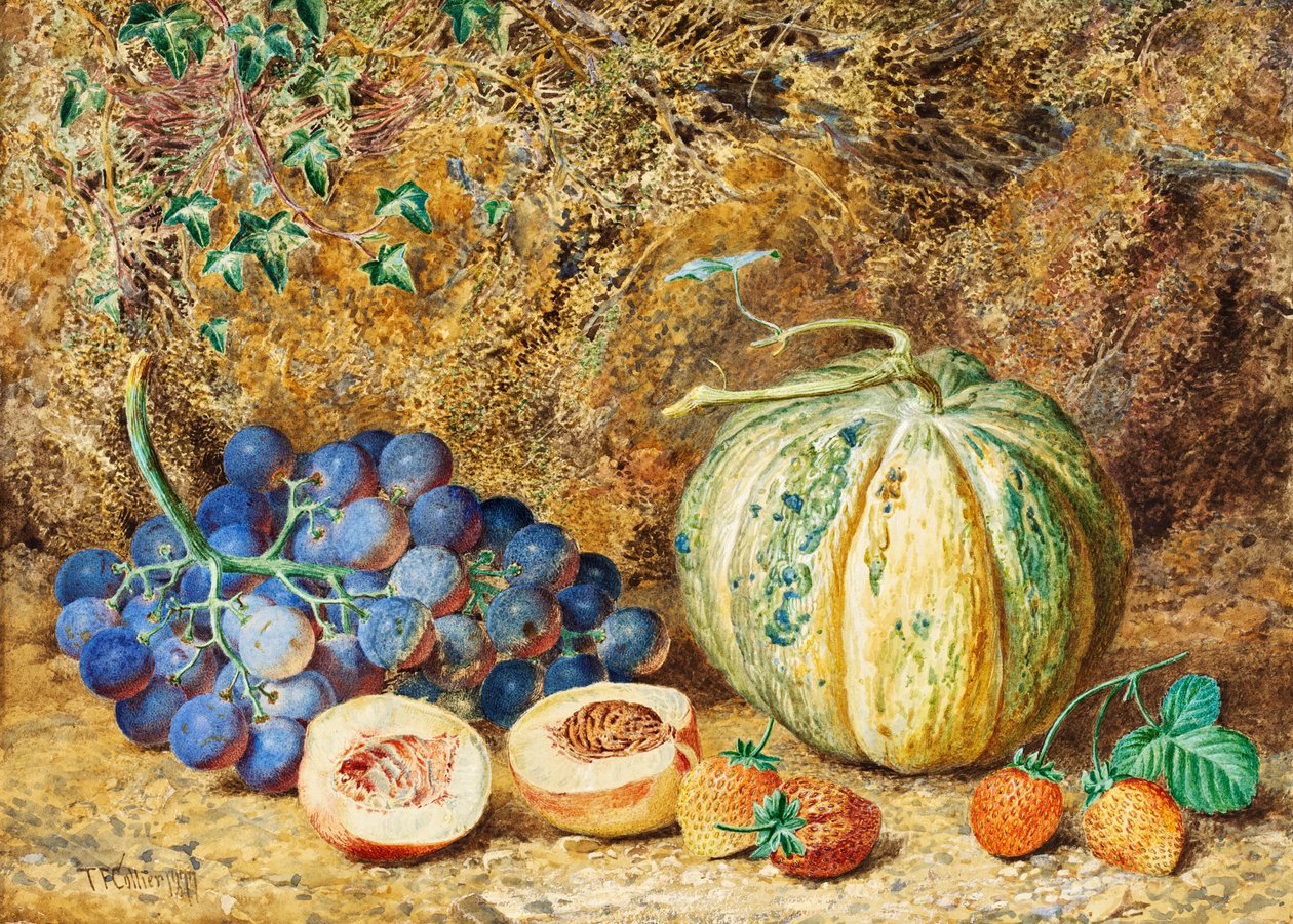 葡萄和草莓，1877年 作者 托马斯·科利尔