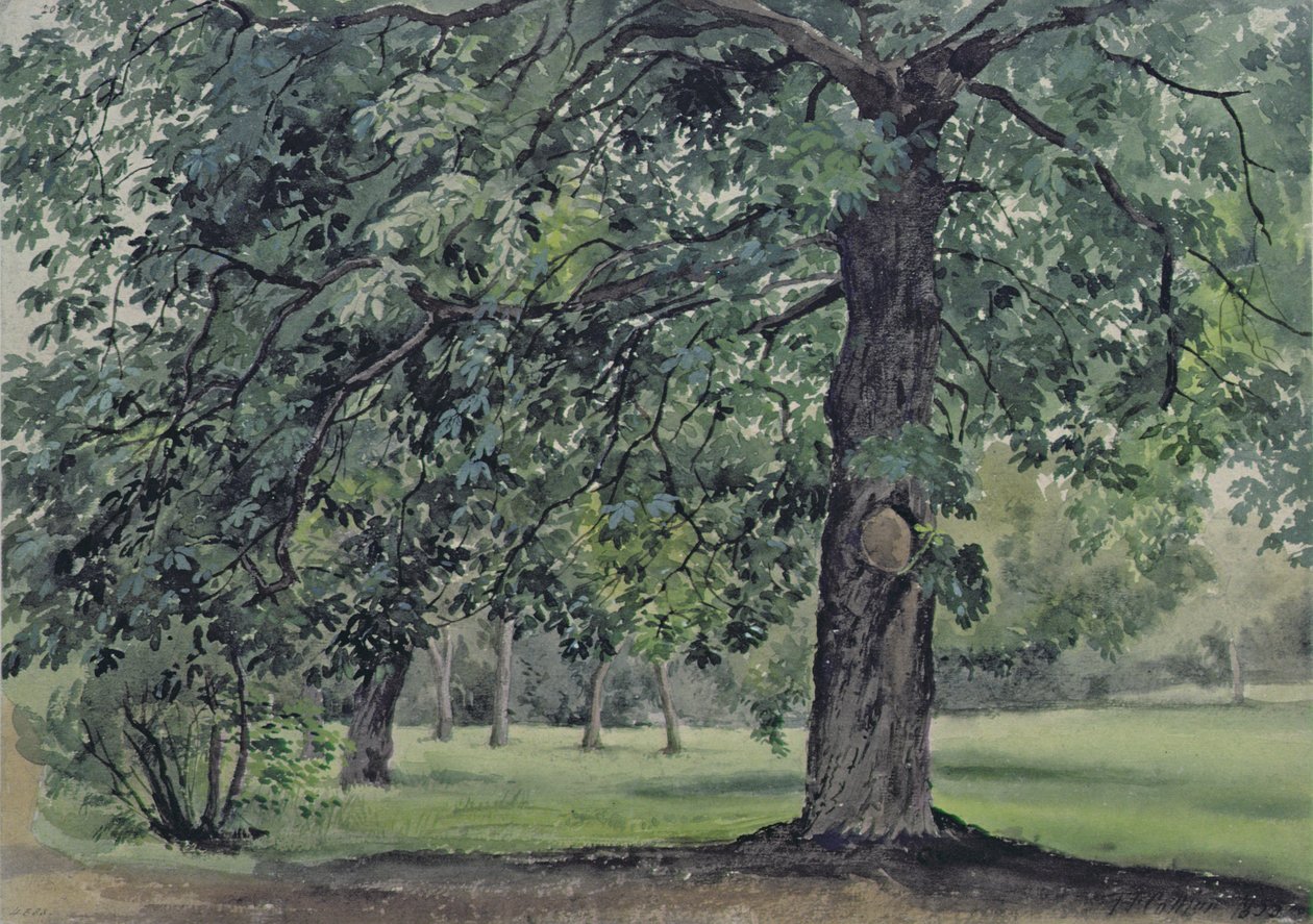与栗树的风景在前景 作者 托马斯·科利尔